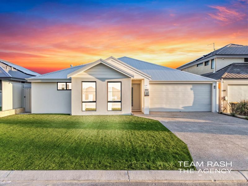 293 Park Street, Brabham