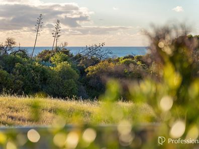 5 Bluewater Close, Drummond Cove WA 6532