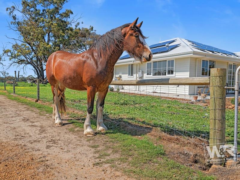 447 Crockerup Road, Mount Barker WA 6324