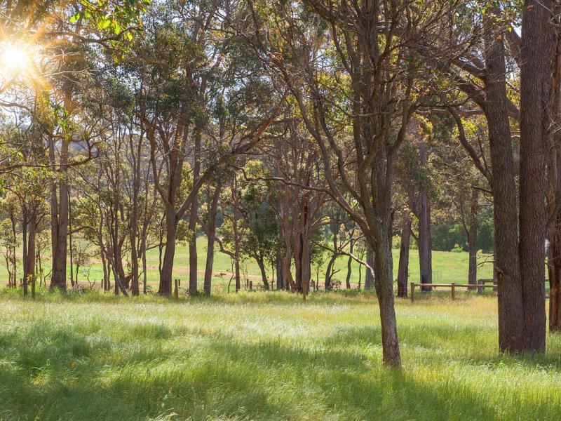 Lot 10, 13 Rowe Road West, Witchcliffe WA 6286