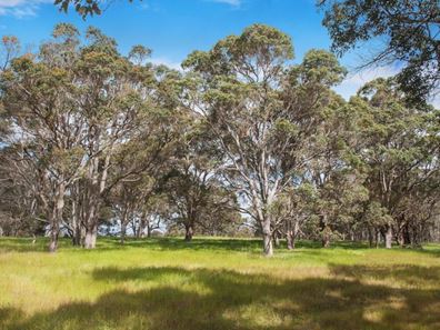 Lot 10, 13 Rowe Road West, Witchcliffe WA 6286