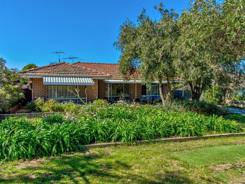 10 Pudney Place, Orelia