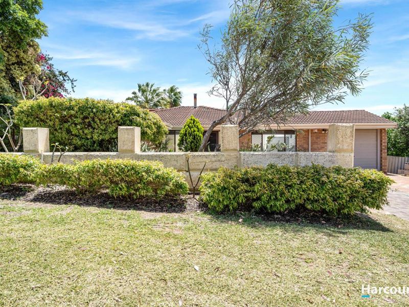 141 Craigie Drive, Beldon