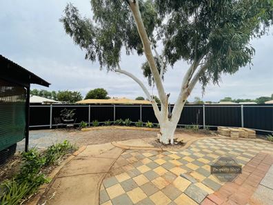 9 Curlew Crescent, South Hedland WA 6722