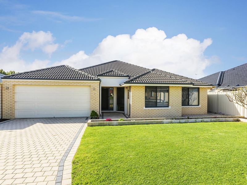 3 Caterpillar Road, Success