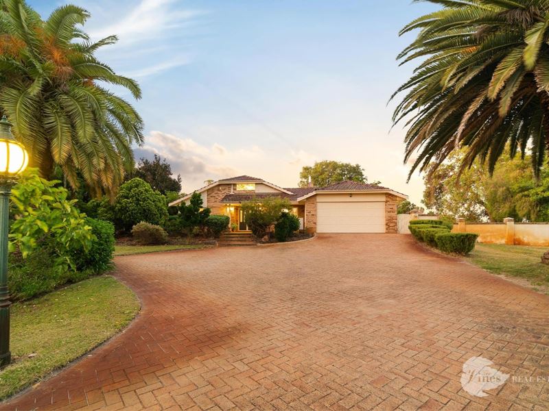 46 Vines Avenue, The Vines
