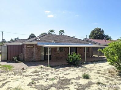 19 Mottlecah Way, Mirrabooka WA 6061