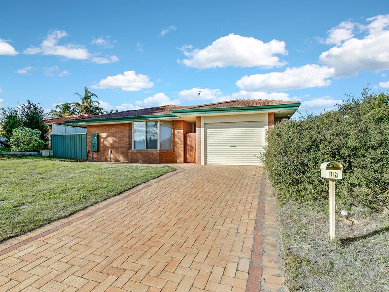 12 Speargrass Close, Alexander Heights