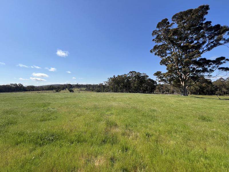 173 Walter Road, Scotsdale WA 6333