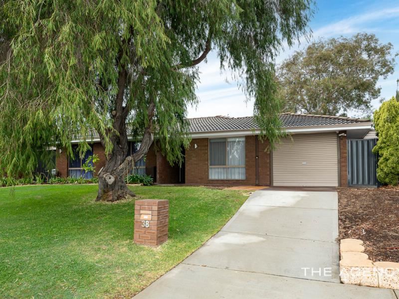 38 Macquarie Avenue, Padbury WA 6025