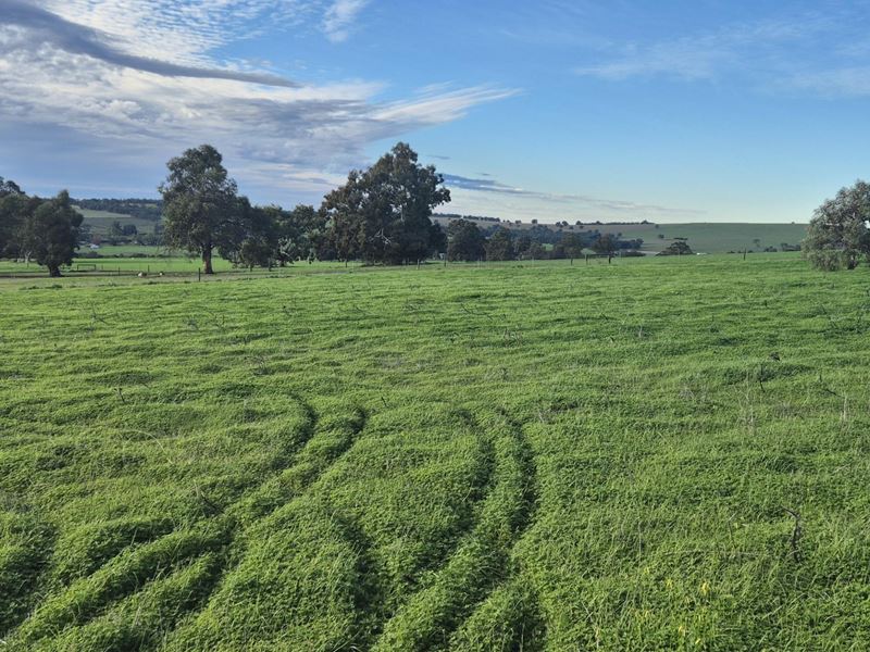 Lot 79,  Starbush  Way, Ginginup