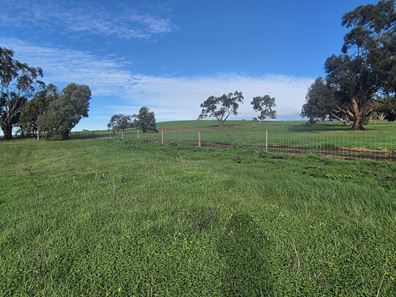 Lot 79,  Starbush  Way, Ginginup WA 6503