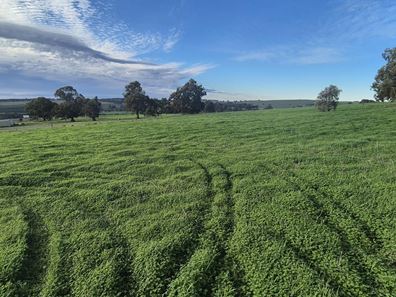 Lot 79,  Starbush  Way, Ginginup WA 6503