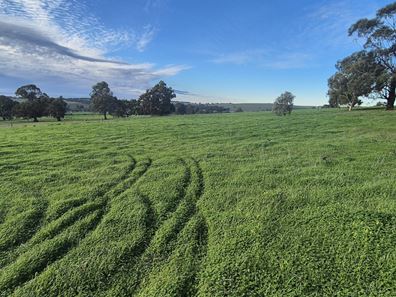 Lot 79,  Starbush  Way, Ginginup WA 6503