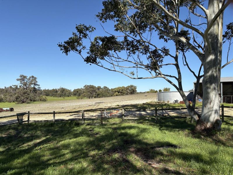1196 Nabaroo Road, Wanerie