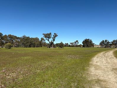 1196 Nabaroo Road, Wanerie WA 6503
