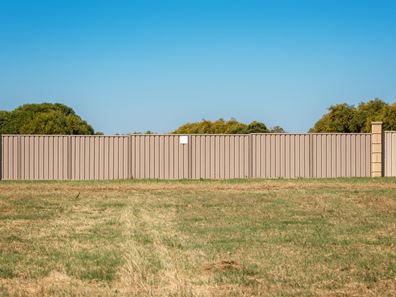 41 Eurithmic Link, Wandina WA 6530