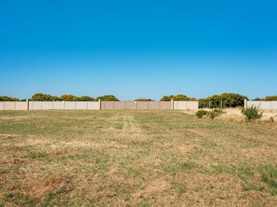 41 Eurithmic Link, Wandina WA 6530