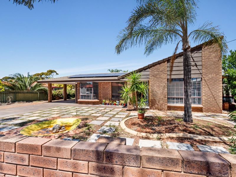 5 Kirwan Court, Hannans WA 6430
