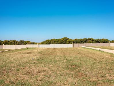 19 Eurithmic Link, Wandina WA 6530