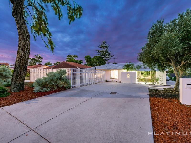 29 Arawa Place, Craigie