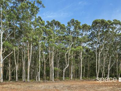 Lot 101,  Bushby Road, Karridale WA 6288