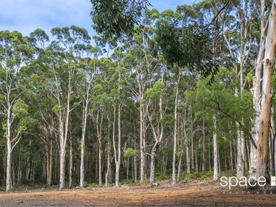 Lot 101,  Bushby Road, Karridale WA 6288