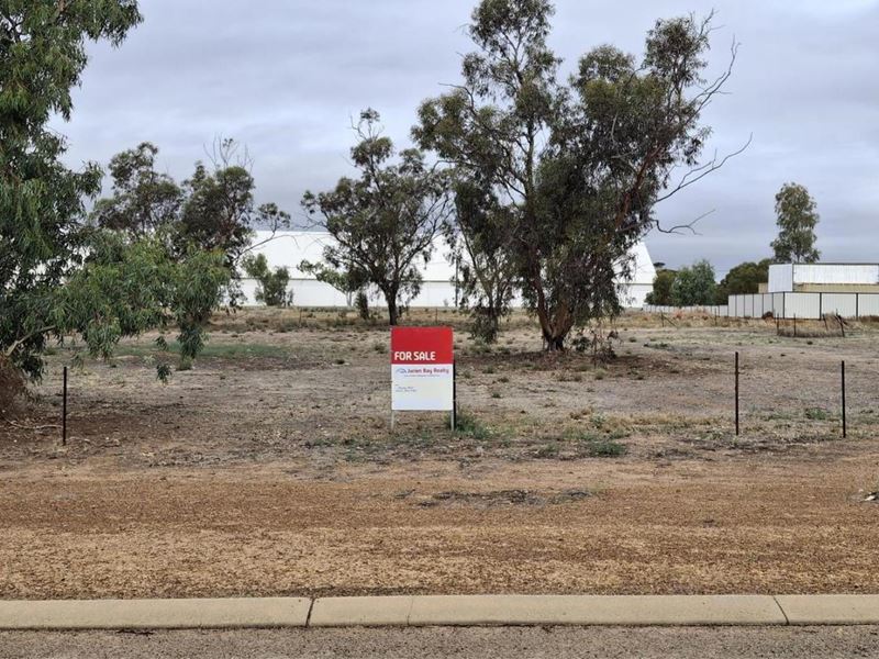 10 McConnell Street, Pithara WA 6608