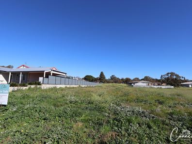 91 Georgiana Street, York WA 6302