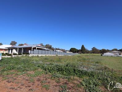 91 Georgiana Street, York WA 6302