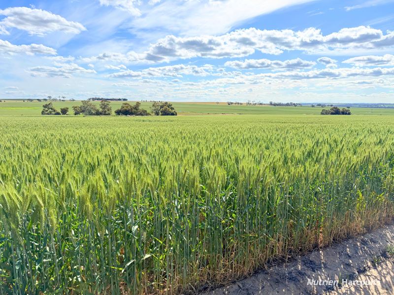 "Mirrabinda" Lot 3882 Brooksbank Road, Cunjardine
