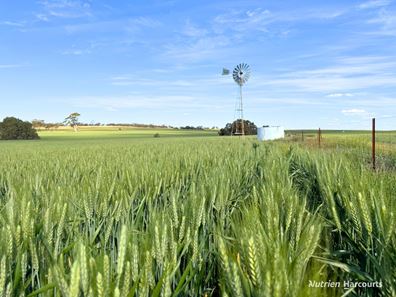"Mirrabinda" Lot 3882 Brooksbank Road, Cunjardine WA 6401