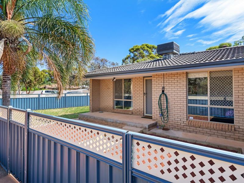 1/153 Addis Street, West Lamington