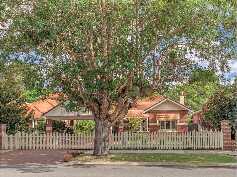 47 North Street, Mount Lawley