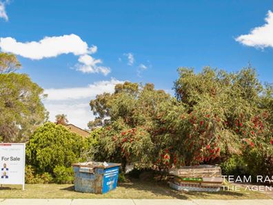 47 Luderman Road, Noranda WA 6062