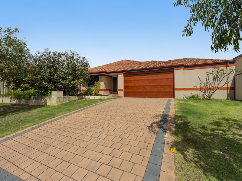 81 Murdoch Drive, Singleton