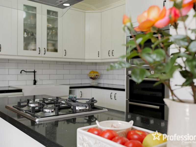 65 Modillion Avenue South, Shelley