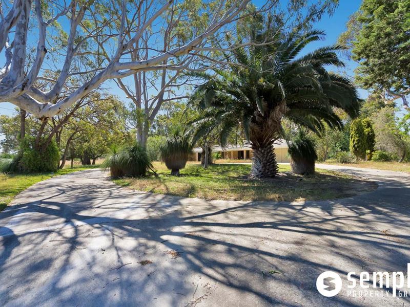 75 Holmes Road, Munster