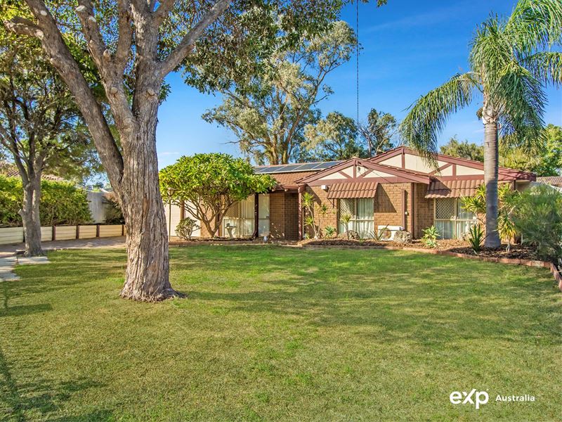 18 Larkin Court, Medina