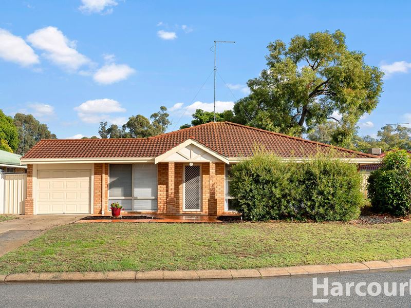 31 Donkey Orchid Turn, Greenfields
