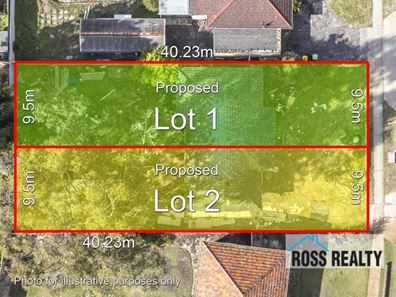 17 Woodrow Avenue, Yokine WA 6060