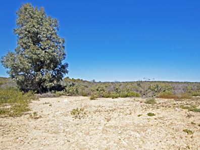 182/ Trig Point Drive, Jurien Bay WA 6516