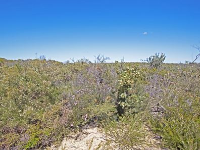 182/ Trig Point Drive, Jurien Bay WA 6516