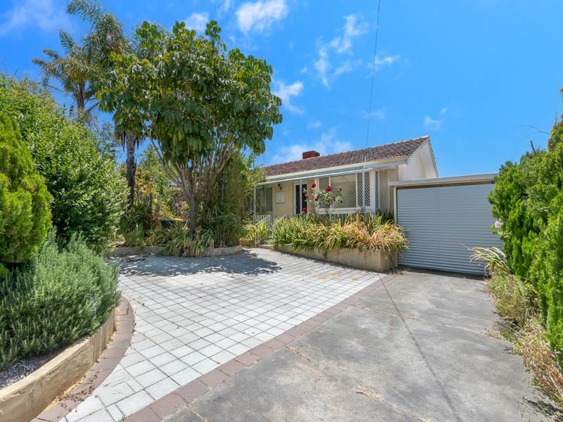 Parmelia