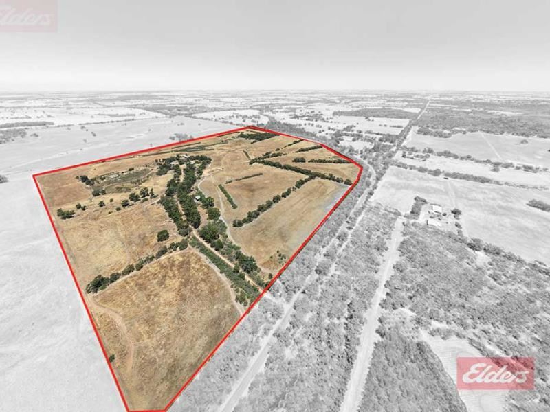 227 Mokine Road, Narrogin