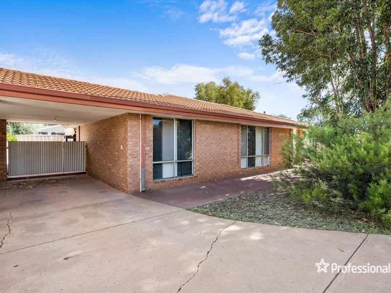 19B Shaw Street, West Lamington