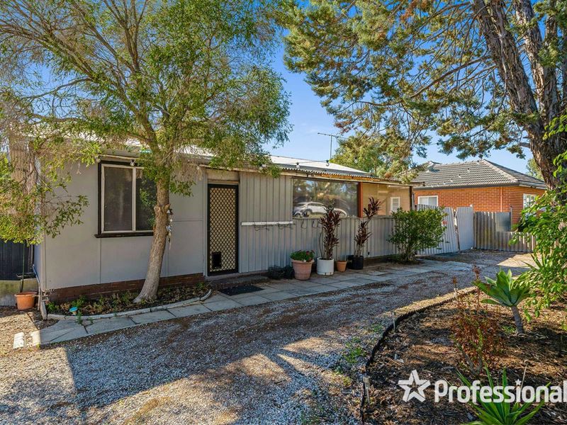 26 Colstoun Road, Ashfield