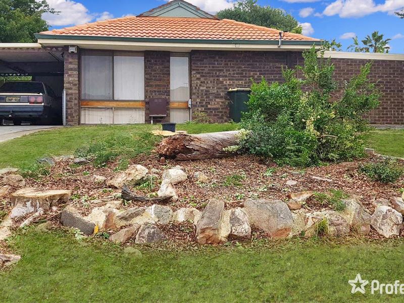 177 Camberwarra Drive, Craigie WA 6025