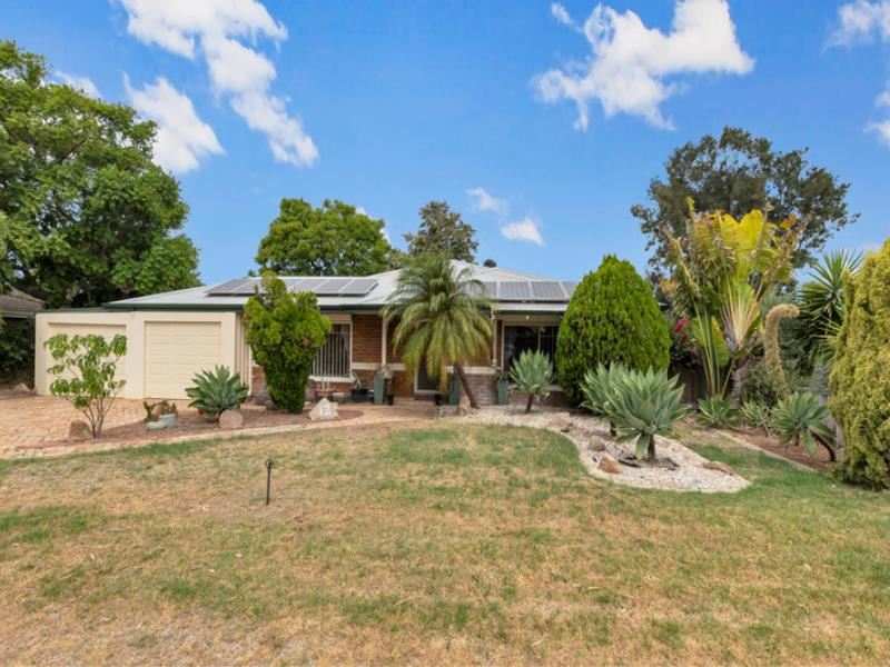 12 Gibb  Road, Waikiki