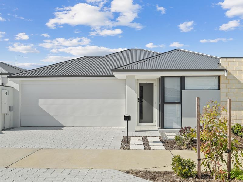 19 Planer Drive, Baldivis WA 6171